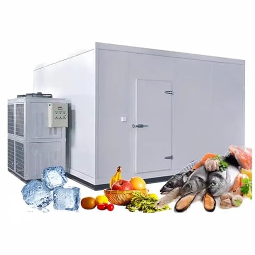 Commercial Walk-In Freezer with Precise Temperature Control