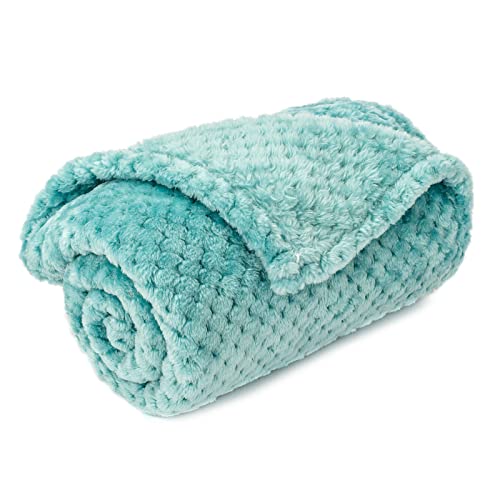 Image of Warm Soft Fuzzy Dog or Cat Blanket, Plush Fleece Throws for Bed, Couch, Sofa, Travel (M /32 inch x 40 inch, Robin Blue)