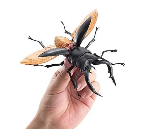 Amazon | くわがた ガチャ 全4種セット 【レア(ゼブラ