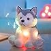 Houwsbaby 12'' Gray Light Up Musical Stuffed Animal Husky Singing LED Dog Glowing Plush Toy Lullaby Animated Soothe Birthday Festival Present for Kids Toddler Girls