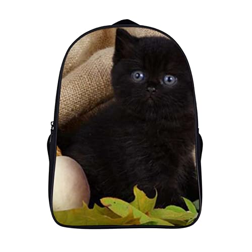 Sac à dos pour enfants Black Cat idéal pour l'école et les sorties du week-end