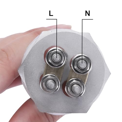 DERNORD Heizelement 48V 600W 1 Zoll DN25 BSP Heizstab Edelstahlflansch with Silikonring Doppel U Typ