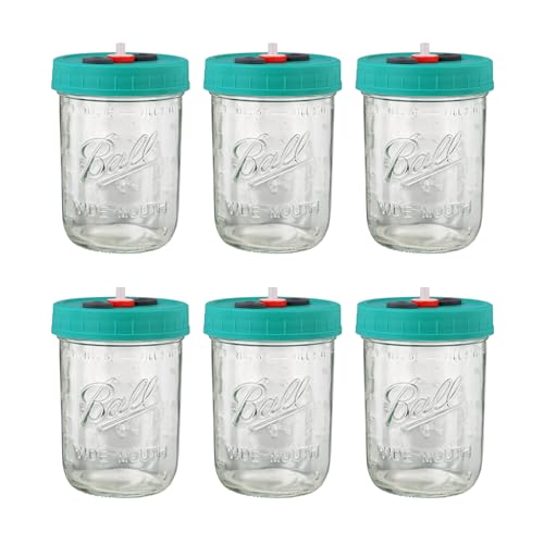 MOFOGDR Mushroom Liquid Culture Jar with Self Healing Sealing Injection Port & Syringe Filter Port Mycology Supplies Mushroom Inoculation, Cultivation, Growing Kit 500 ML, 6PCS|PACK