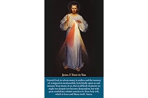 Divine Mercy, Jesus I trust in You, LAMINATED prayer card, 3 x 5 inches (3-pack)