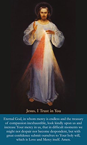 Divine Mercy, Jesus I trust in You, LAMINATED prayer card, 3 x 5 inches (3-pack) plus two free bonus cards