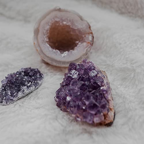 Top Plaza Natural Amethyst Geode Cave Healing Crystal Stones Rock Cluster Druzy Witchcraft Raw Amethyst Gemstone Specimen (0.18-0.33 Pound) #TOP5