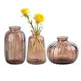 Terrario Transparente: Los floreros terrarios de plantas son muy transparentes, lo que le permite observar fácilmente el crecimiento de las raíces y su salud, y responder rápidamente a las necesidades de su planta.