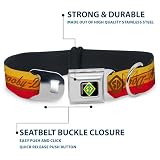 Buckle-Down Obroża dla psa klamra pasa bezpieczeństwa Scooby Doo Script Sd Icon Stripe żółty pomarańczowy czerwony brązowy 45 do 80 cm szerokości 3 cm