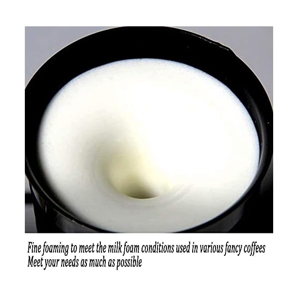 LSDRALOBPOI Vaporizador de Leche Batidora de Leche Calentador de Leche Vaporizador de Leche para Espuma automÃ¡tica 3 en 1 Caliente y frÃ­a de Acero Inoxidable 1022 - Imagen 6