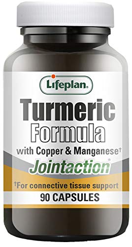 Joint Action Turmeric 90 Tablet #TOP1