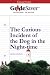 GradeSaver (TM) ClassicNotes: The Curious Incident of the Dog in the Night-time