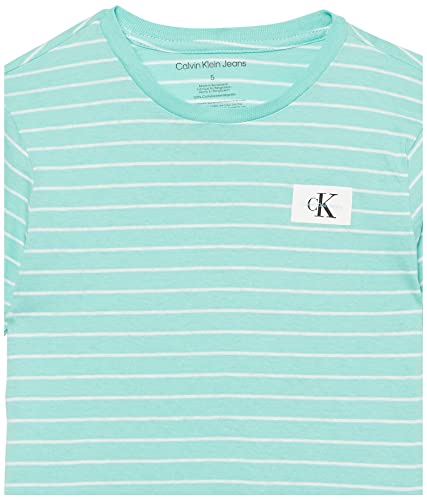 Calvin Klein Boys' Big Short Sleeve Striped Crew Neck T-Shirt, Linear Seafoam, 18-20 #TOP3