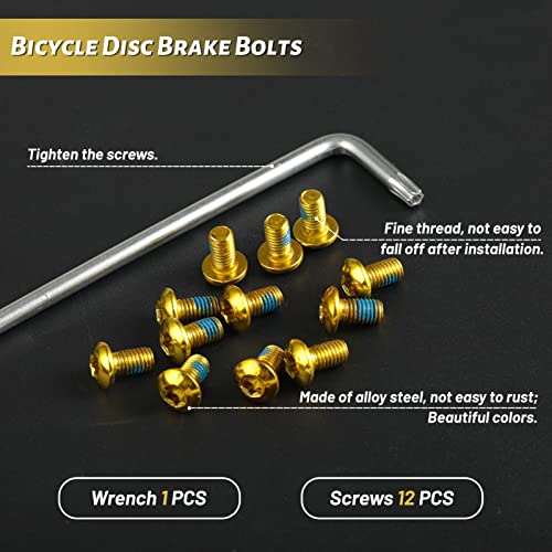 LEONTOOL 12 Pcs Bicycle Disc Brake Bolts M5x10mm MTB Rotor Bolts Gold Bicycle Rotor Screws with 1 Pcs T25 Torx Wrench L for Road Bike Mountain Bike Yellow Blue - Image 2