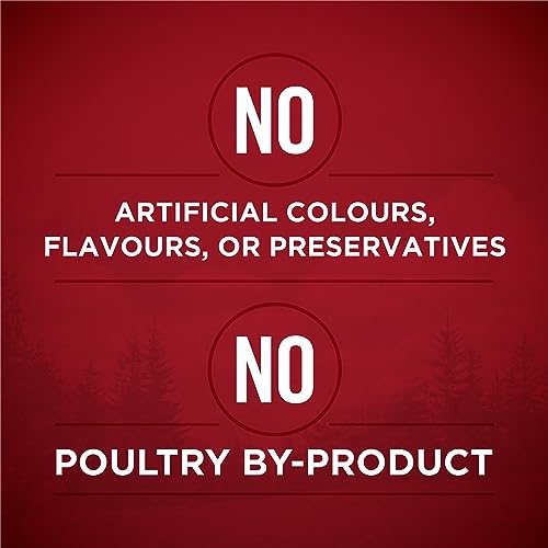 Purina ONE Classic Ground True Instinct Wet Dog Food, Variety Pack 2 Flavours - 368 g Can (6 Pack) - Image 6