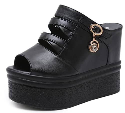 [YFS] T_ ~[T_ 12cmq[ nCq[ Loq[ C EFbW\[ Cq[ I[vgD ₷ Ȃ r gAbv Wbp[t 22cm[24.5cm   (~[T_12