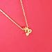 Imagen de Collar Signo Zodiaco Capricornio Acero Inoxidable hermosa Tarjeta Significado Signo Zodiacal Colgante Horóscopo Para mujer o Hombre Regalo Cumpleaños