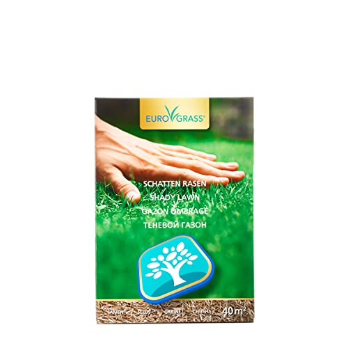 Schattenrasen-Samen Euro Grass Premium für schattige Flächen