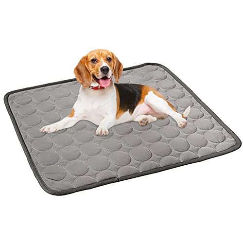 Kühlmatte für Hunde, Haustier-Kühlmatten, Sommer-Eiskissen, leicht, atmungsaktiv und faltbar, für Kiste, Zwinger, Katzenbett, Sofa, kaufeste wiederverwendbare Hundematten (1 Packung)