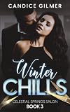 Cover zum Buch Winter Chills
