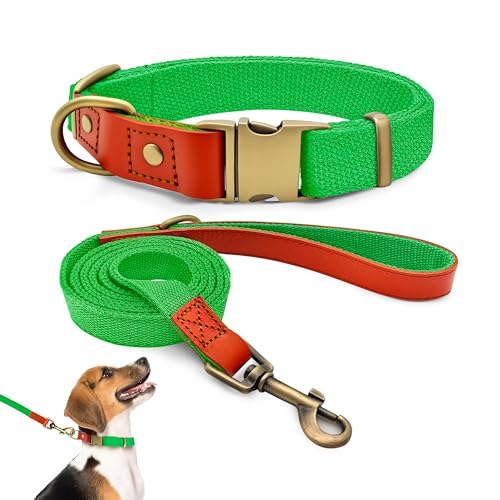 Qianruida Collare e Guinzaglio Cane Taglia Piccola e Media Collari Resistente per Cani in Nylon, per Corsa Passeggiate Formazione, Verde Fluo, M