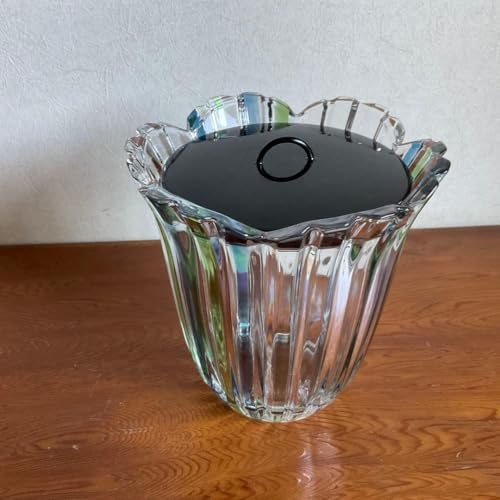 ガラス 水指」の人気商品一覧 | 安い商品を通販サイトから探す - 価格.com