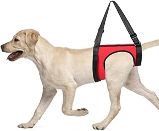 YOUTHINK Dog Support Harness Pet Walking Aid Lifting Pulling Vest for Old & Injured Dogs(Red) (Hind legs-M)