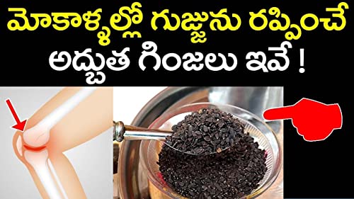 Pmw - Mahabeera Seeds - Mahabeera Ginjalu - for Knee & Joint Pains - 500 Grams - Image 2