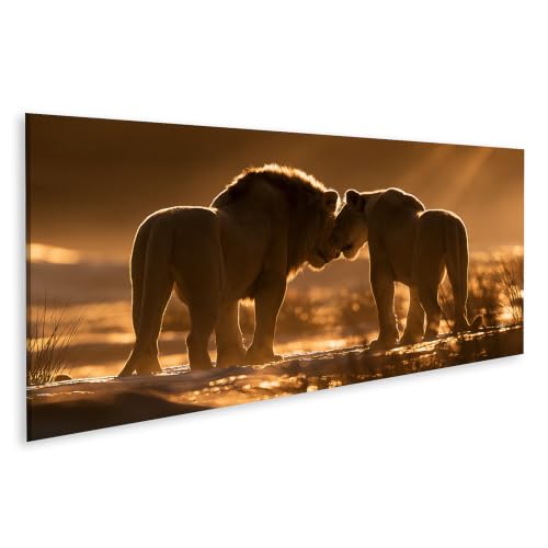 Lion tableau panorama islandburner pour salon décor animalier