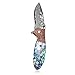 KUBEY Hunting Folding Knife Damascus Steel Blade Thumb Open Gentlemans Pocket Knife for Outdoor Camping Tactical Survival Tool(#DM081-Shell patch handle)