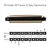 Randon Golden Harmonica Key of C with Case, 10 Holes 20 Tones Diatonic Harmonicas Mouth Organ, Blues Harmonica for Adults/Kids/Professional Players/Beginners, Vintage Style Harmonica, as a Gift