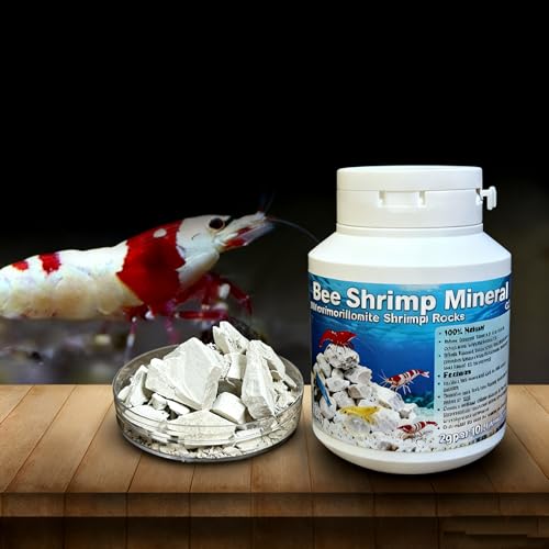 YZHZOM iCg Gr ~lbN GH/KH+ ~lXg[ ? iCgSyAfgbNXEH[^[Au[XgJ[&gAANAEGrJVE(120g)