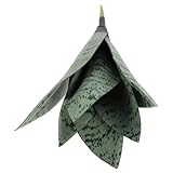 Hemobllo Künstliche Sansevieria Kunstpflanze aus PVC Langlebig Natürlich Wirkend Realistische...