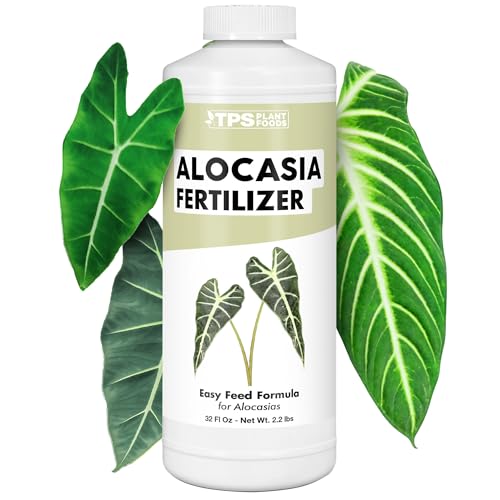 Alocasia Fertilizer