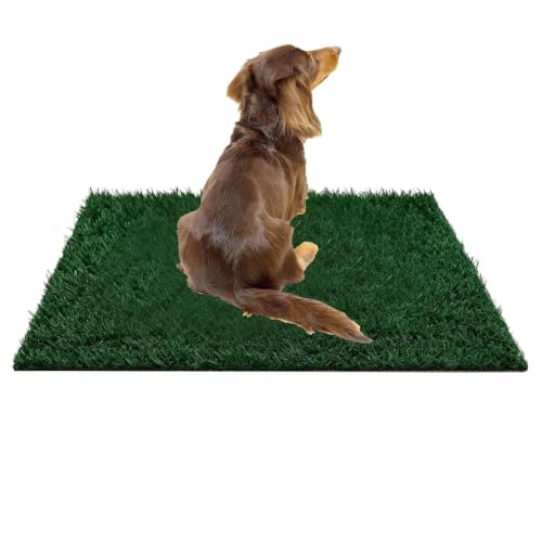 Gras- - Tappetino per cani in sintetica riutilizzabile