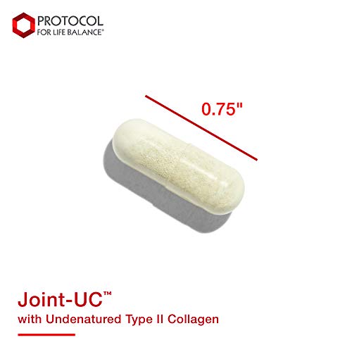 Protocol Joint-Uc - Joint And Immune Support - Collagen Type 2, Seaweed Minerals - 60 Veg Caps #TOP6