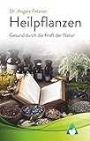  Heilpflanzen - Gesund durch die Kraft der Natur