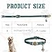 Zelphvt Leather Cat Collar with Bell Green Retro Collar for Cats Adjustable Kitten Collars for Most Cats and Kittens(7.5