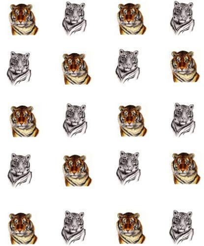 Tiger Waterslide Nail Art Decals