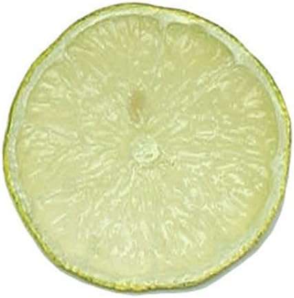 Green Plastic Replica Lime Slice - 2"Dia