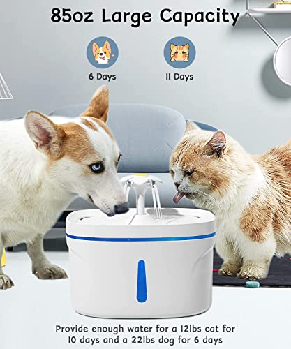 Fuente de agua para gatos 2.5L con filtro y luz LED miniatura 3