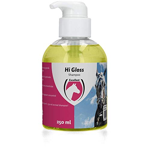 EXCELLENT Cuidado Del Caballo Hola Champú De Gloss 250 ml