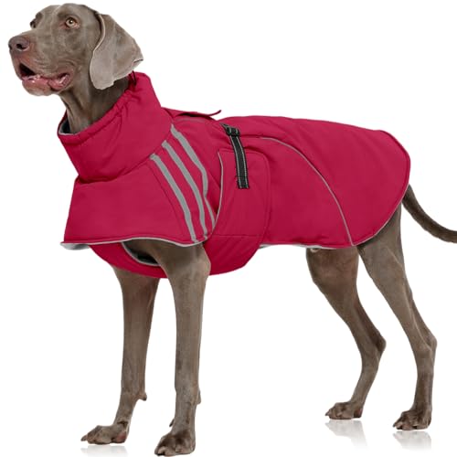 FUAMEY Dog Cold Weather Coats,Dog Winter Jackets for Large Dogs Warm Dogs Coat with Reflective Strips Waterproof Pet Snowsuit Thick Paded Pets Vest for Labrador Golden Retriever Wine Red 2XL