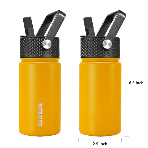 Image of BJPKPK Insulated Water Bottle, 15oz Stainless Steel with Straw Lid