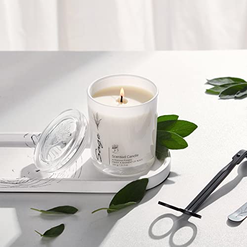 Sage Candles For Home Scented Aromatherapy Candle 11.3 Ounce Gifts For Women Soy Wax Long Lasting Amber Jar Candles For Birthday Mom Christmas Thanksgiving Day Present #TOP3