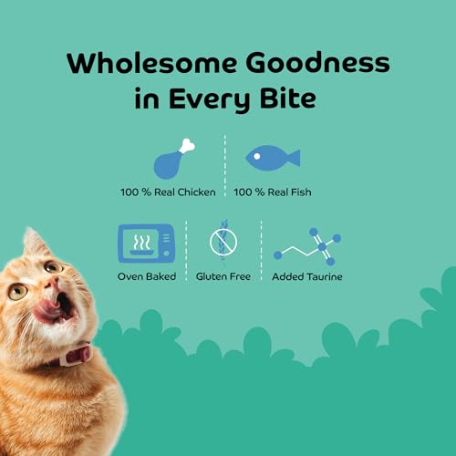 Image of Shrimp with Pumpkin Soft Cat Treats for Kittens & Adult Cats | Made with Real Shrimp | Grain-Free Protein-Rich Snacks with Taurine & No Fillers | 35g