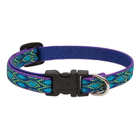 LupinePet Originals 1/2" Rain Song 10-16" Adjustable Collar for Small Dogs Cover