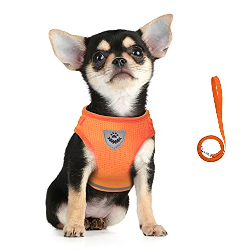 Image of FEimaX Dog Harness and Leash Set for Walking, Soft Mesh Adjustable Easy Control Lightweight Cat Vest Harnesses with Reflective Strips, Escape Proof Small Dogs Cats Vests (Orange, Large)