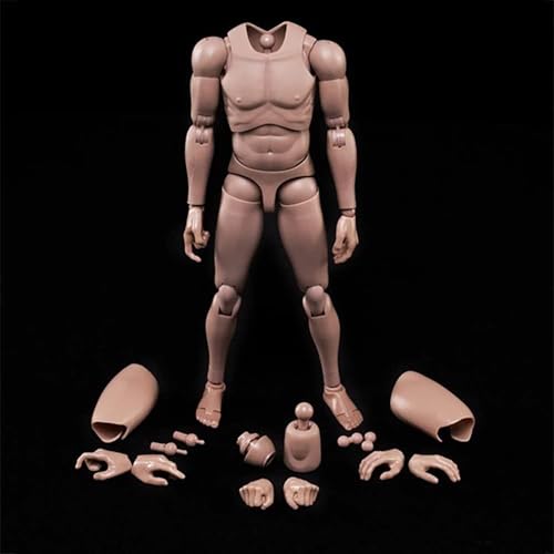 SOUFORCE 1:6 Scale Muscle Male Action Figure Europe Skin 12 Inch Flexible Male Figure Body Doll Miniature Figure Without Head Sculpt