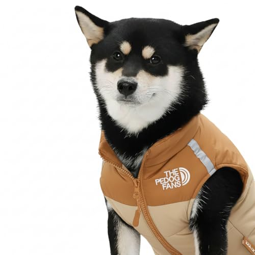 GIIPET   H~ hbOEFA h n[lX̌^  WPbg g h hh y ₷ ^ ^ ^ Č (uE, M)