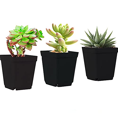 Haawooky 48 Pack Plasic Black Small Plant Pots,Black Square Plastic Nursery Pots,Plastic Starter Pots With Saucer For Garden,Home Decor,Seedlings #TOP6
